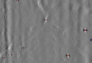 Апельсиновая корка